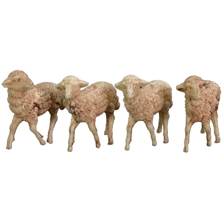 Set 10 assorted sheep for statues of 8-10 cm