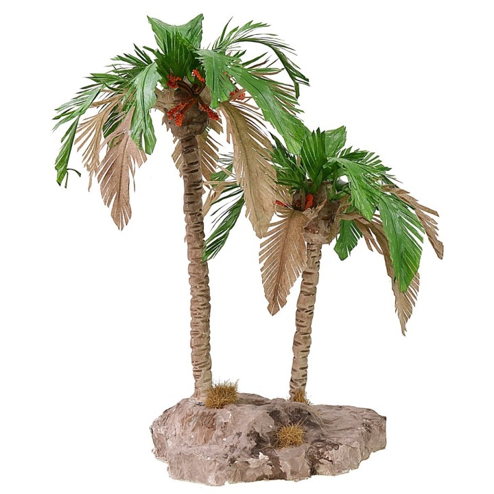 Double bicolor palm 25-19 cm h