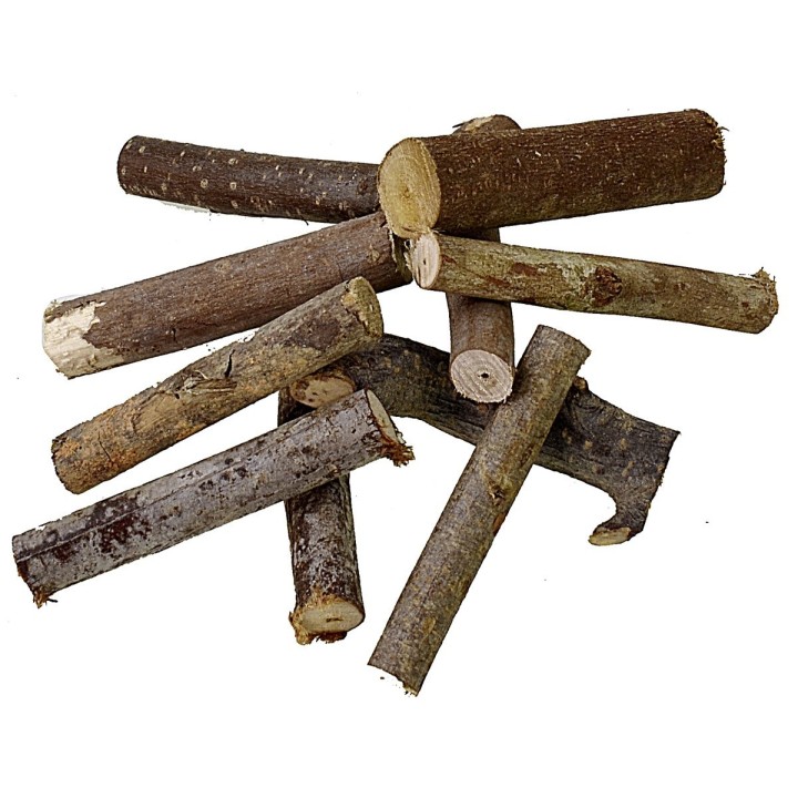 Conjunto de 10 troncos de madera de 10 cm