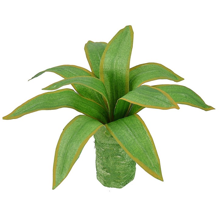 Agave moldeable 10 cm