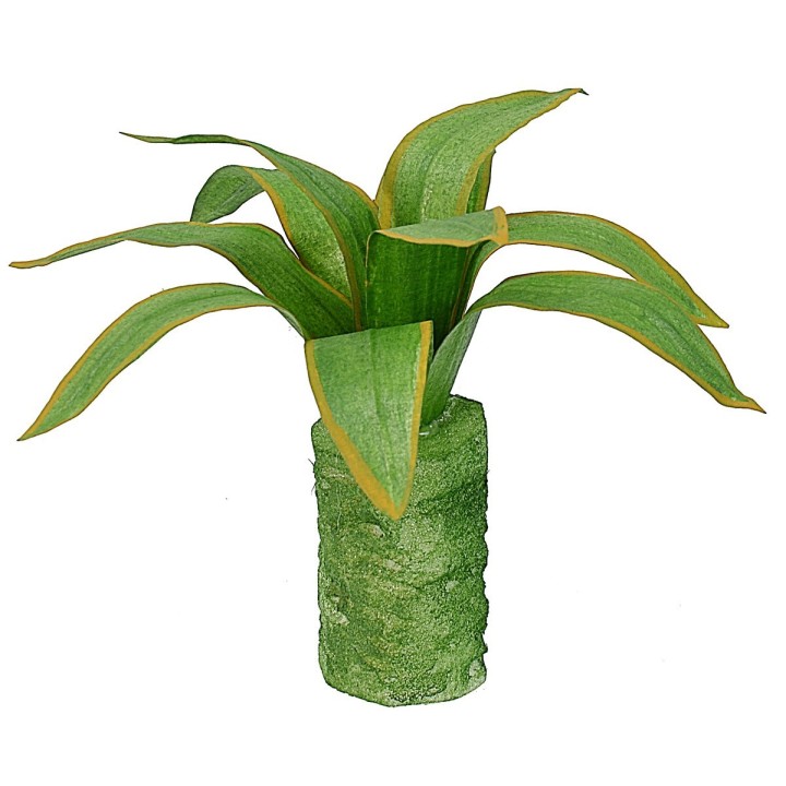 Agave modellabile 10 cm