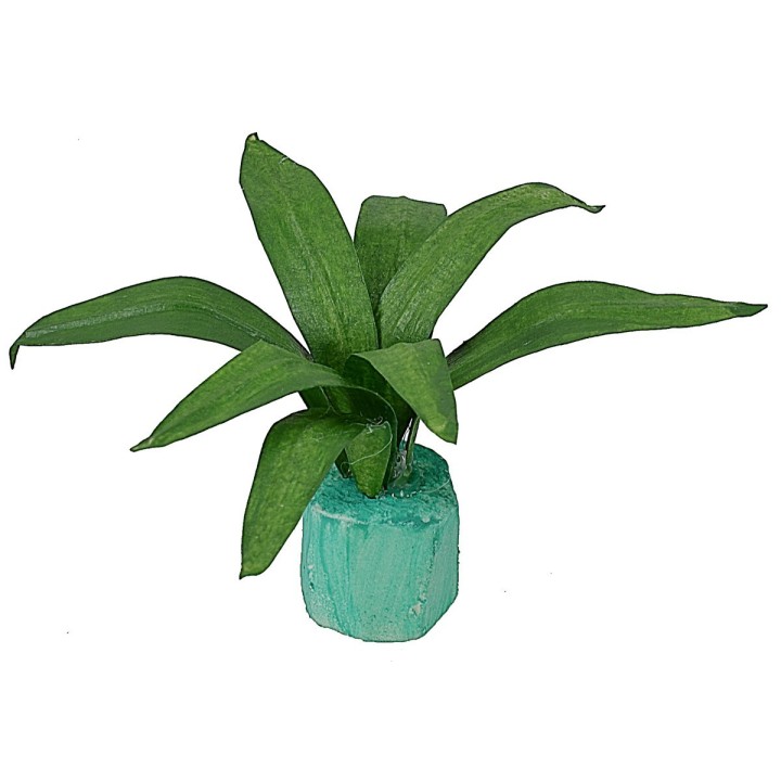 Agave moldeable 5 cm