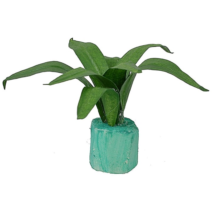 Agave modellabile 5 cm