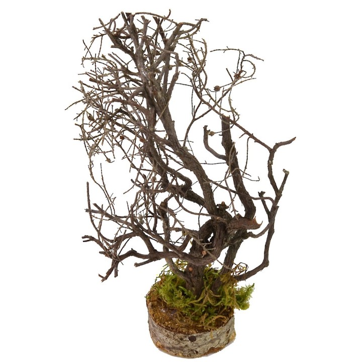 Árbol con ramas cm 5x5x19 h