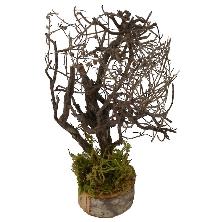 Árbol con ramas cm 5x5x19 h