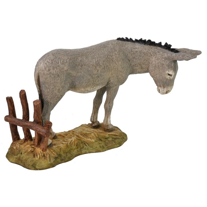 Asno Landi Moranduzzo serie 18 cm.