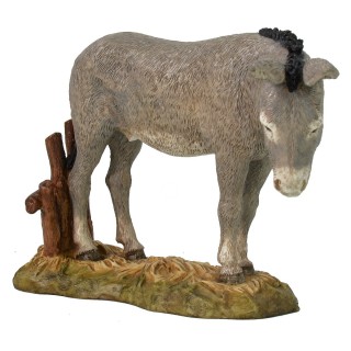 Asno Landi Moranduzzo serie 18 cm.