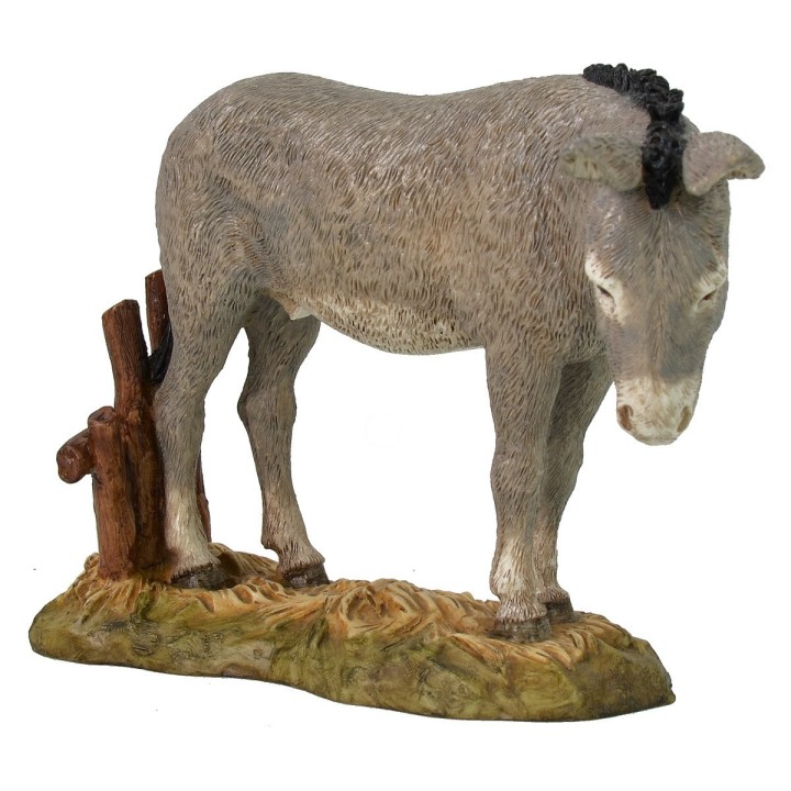 Asno Landi Moranduzzo serie 18 cm.