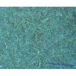Hoja de musgo cm 75x50