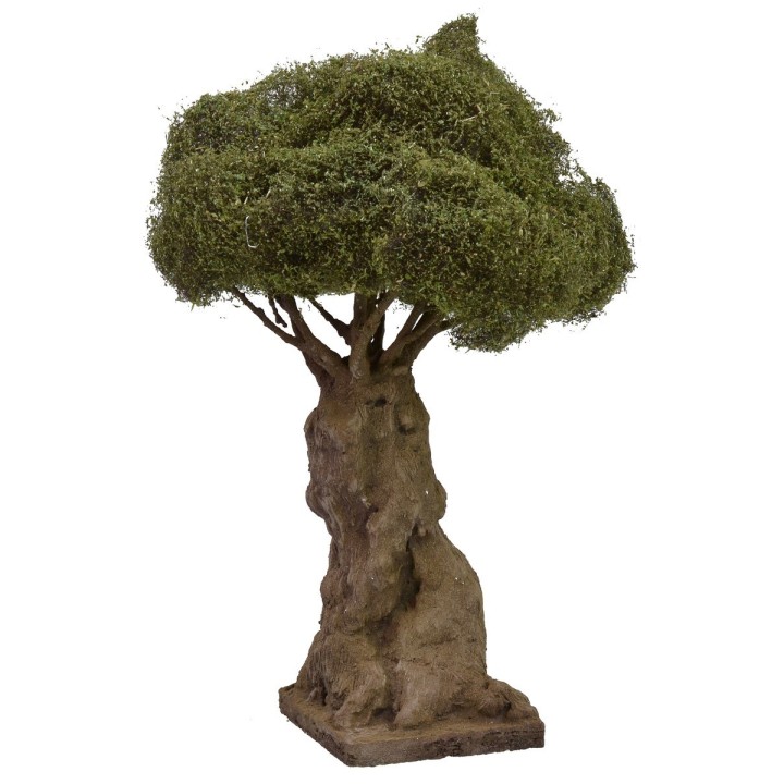 Olivo secolare ramificato altezza 27 cm