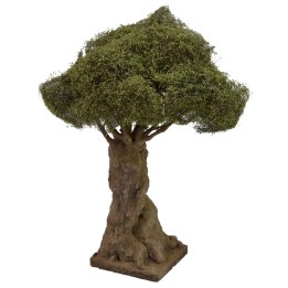 Secular branched olive tree height 27 cm