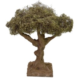 Olive tree height cm 17,5 h