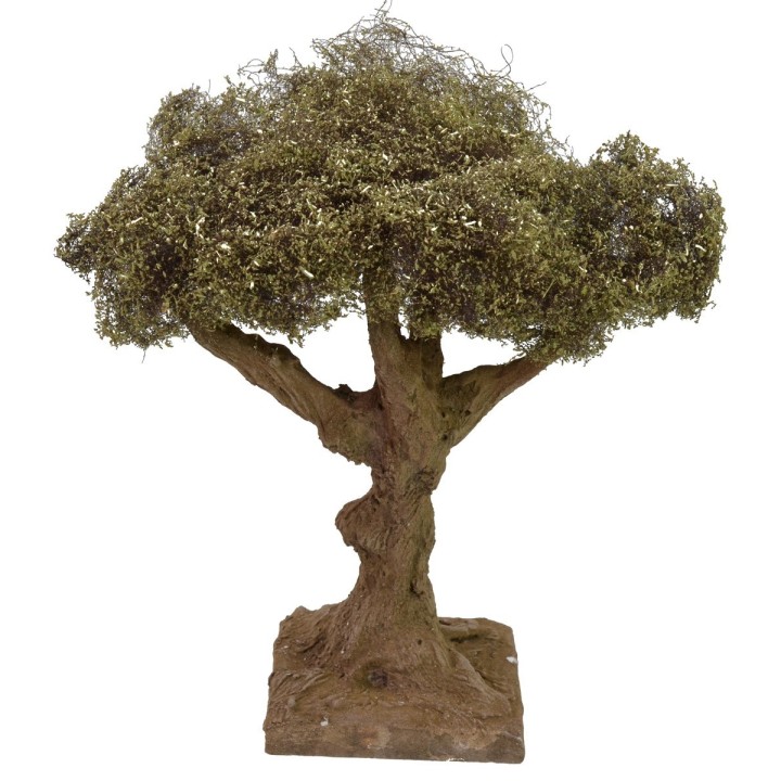 Olive tree height cm 17,5 h
