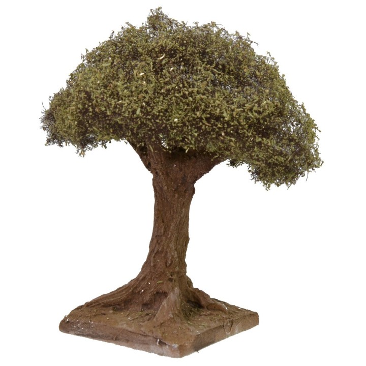 Olivo altezza 12 cm