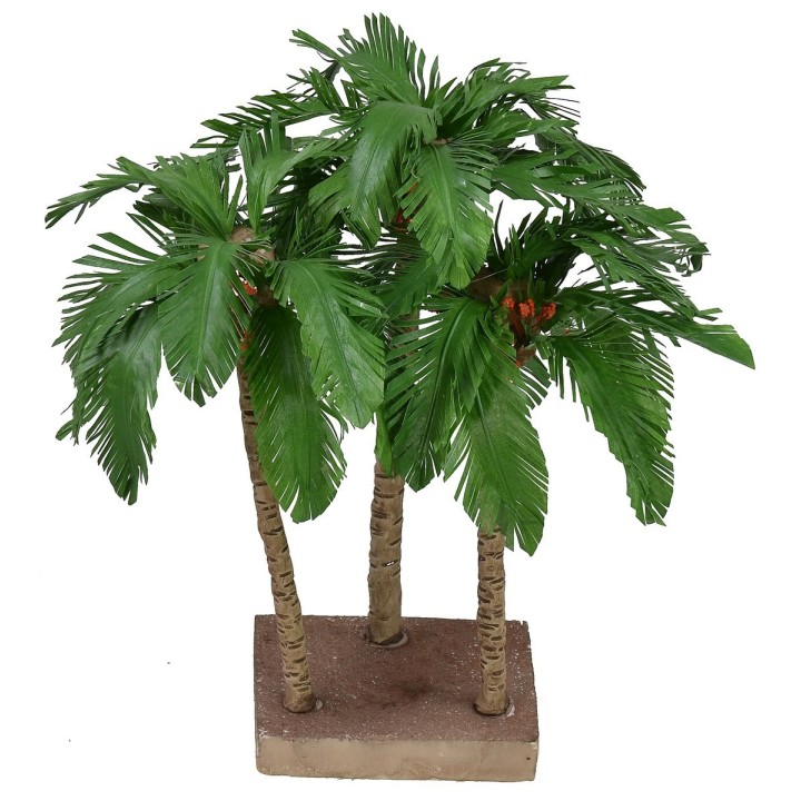 Three palms with base cm 24-22-21 h