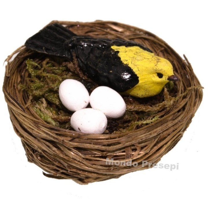 Nido con pájaro y huevos - colores variados