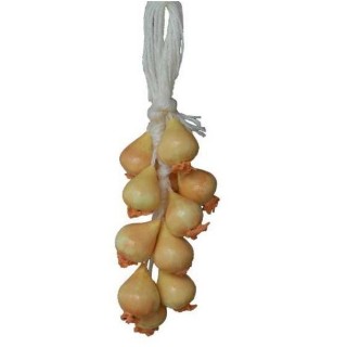 Onion strain