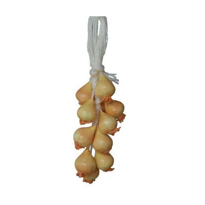 Ceppo di cipolle