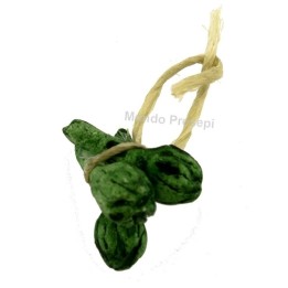 Artichoke strain