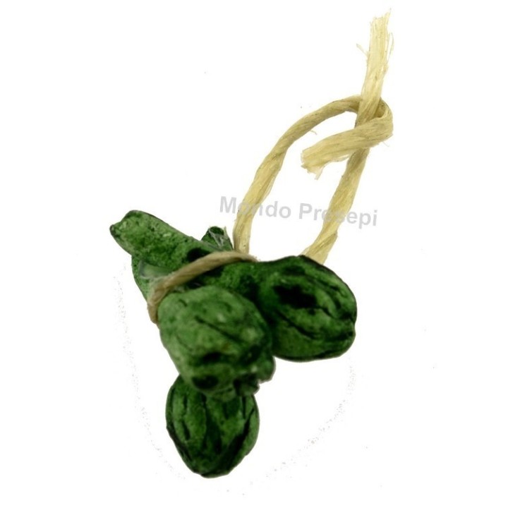 Artichoke strain