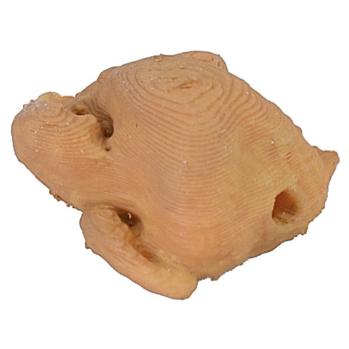 Chicken 1.7x2.3x1.2h