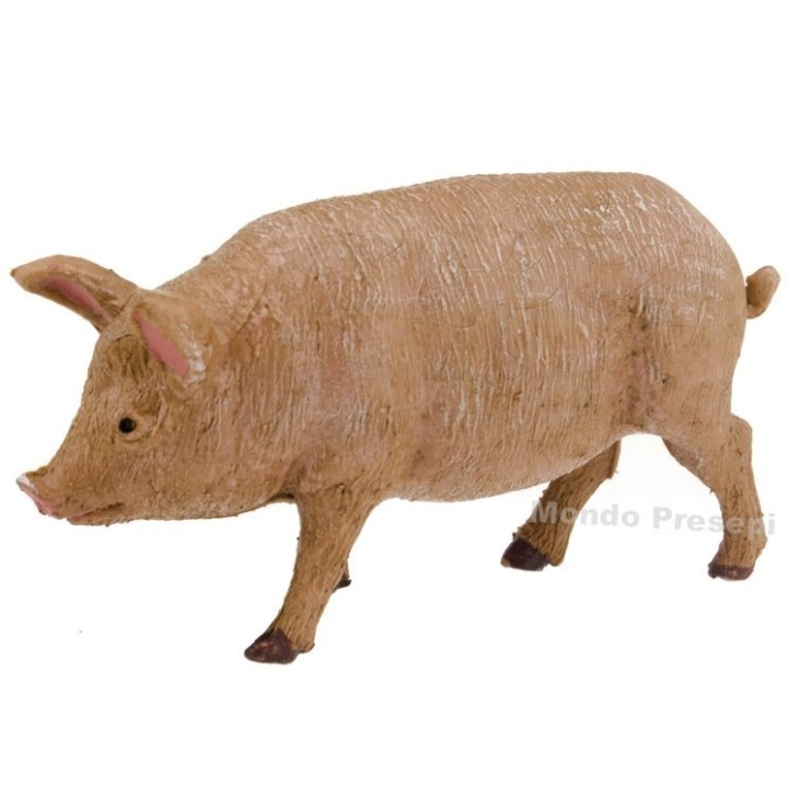 Cerdo para estatuas cm 15-20