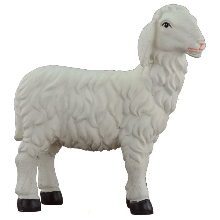 Sinus head high for statues 30 cm