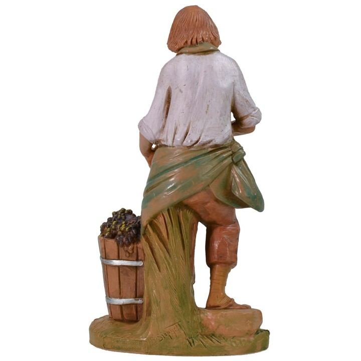 Farmer harvesting 19 cm Fontanini