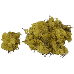 Lichene giallo-verde 50 gr presepe