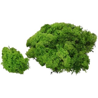 Lichene verde 1 kg - Cod. 