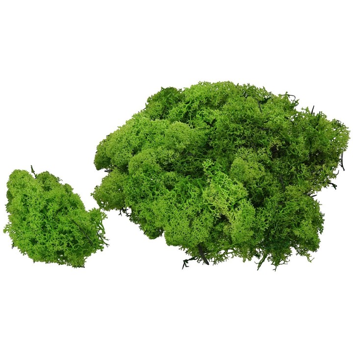Lichene verde 500 gr - Cod. 