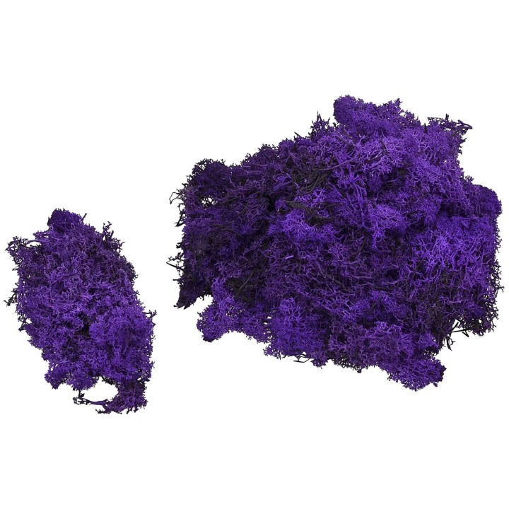 Purple lichen available in envelopes of: