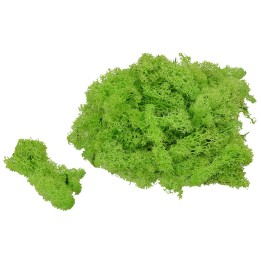 Líquenes verde claro 150 g.