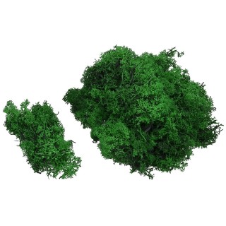 Liquen verde bosque 150 gr.