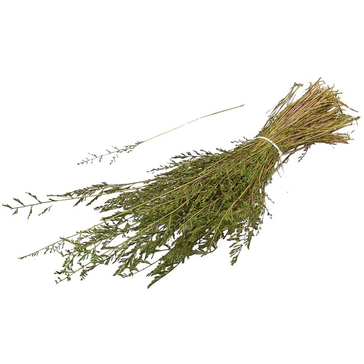 Cypress herb 45 gr.