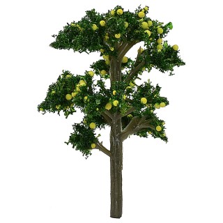 Lemon plant without base h 7 cm