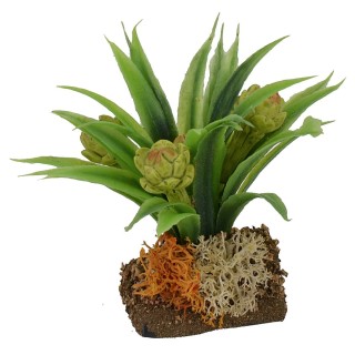 Planta de alcachofas cm 6 h