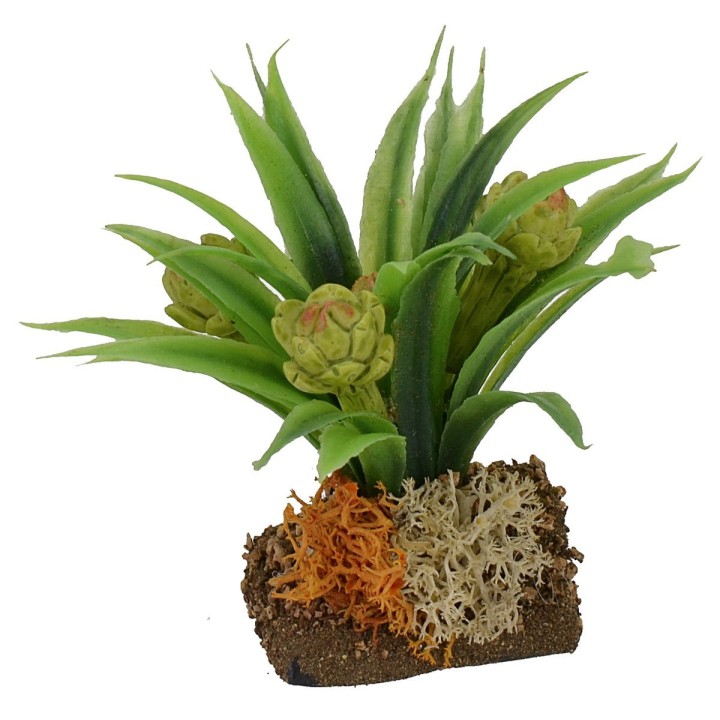 Planta de alcachofas cm 6 h