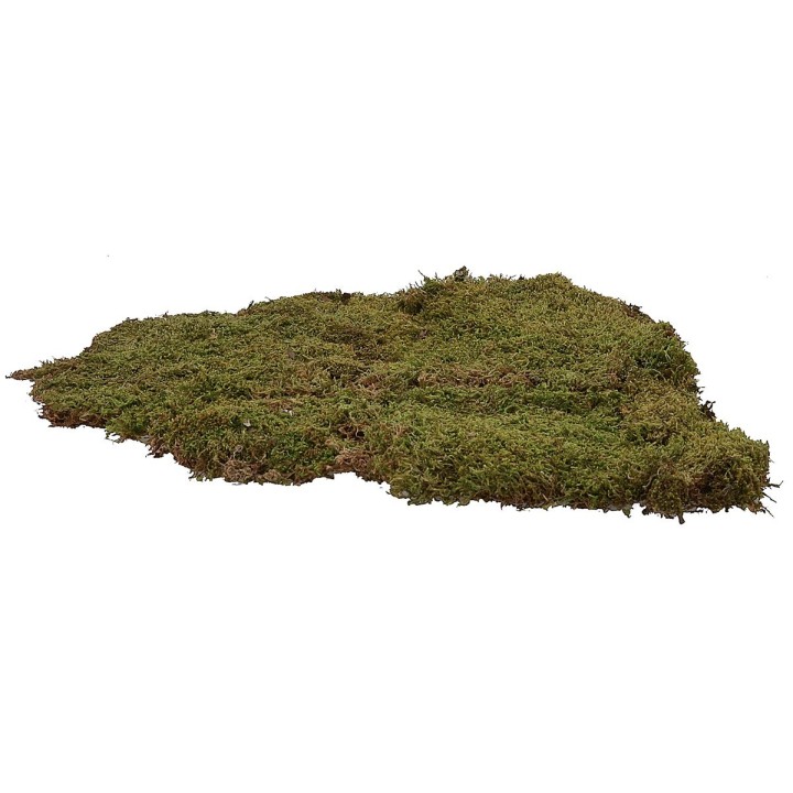 Muschio naturale tappeto 90 gr.- presepe