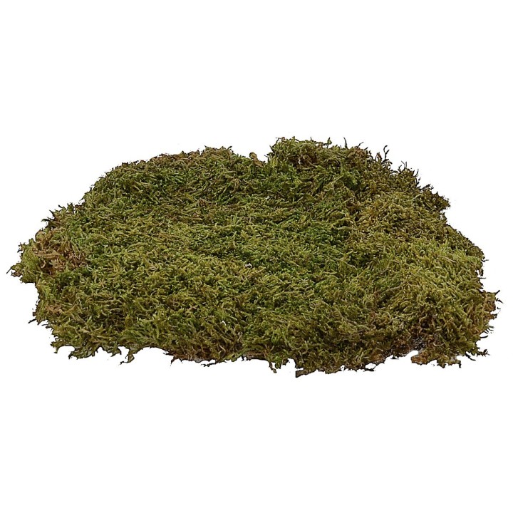 Natural carpet moss 90 gr.- crib