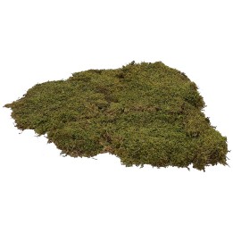 Natural carpet moss 1 kg - crib