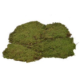 Moss carpet 4 kg