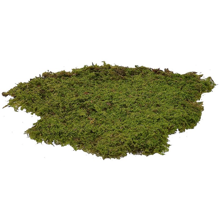 Musgo en alfombra 4 kg