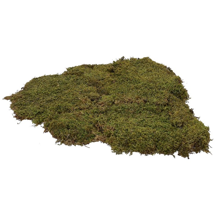 Natural carpet moss 5 kg - crib