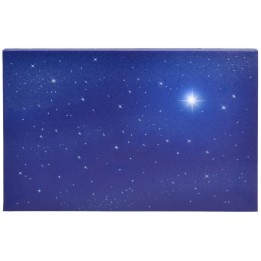 Cielo stellato con stella polare fibre ottiche cm 30x20x1,7