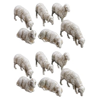 Set 12 pecore Landi Moranduzzo per figure cm 10