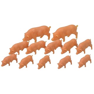 Set 12 pigs - Cod. 
