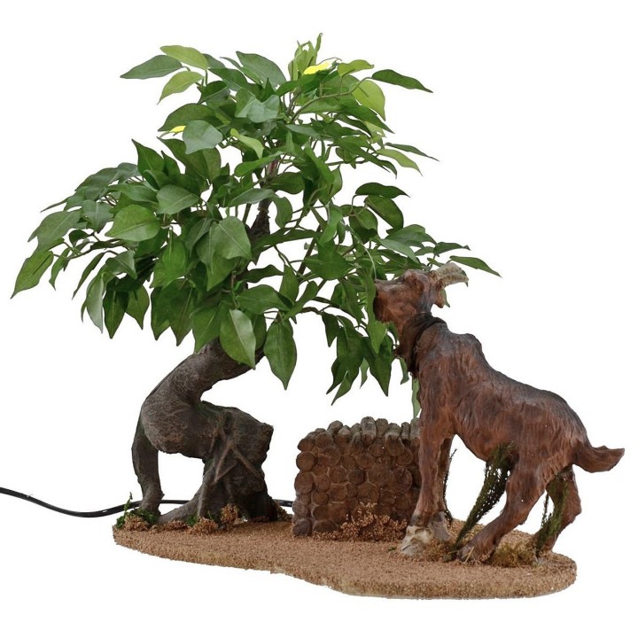 Brown goat eating series 30 cm in motion