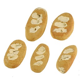 Set of 5 medium bread pieces measuring 1.9-2.3 cm