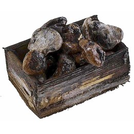 Wooden box with mushrooms 3.2x2.1x1.4 cm h